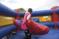 Bouncy Boxing photo