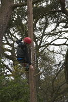 Peg Pole Climb photo