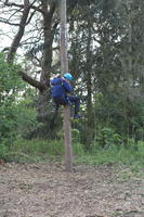 Peg Pole Climb photo