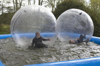 Water Walkers photo