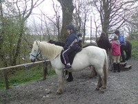 Multi Activity - Mini Railway/Swimming/Pony Trekking photo