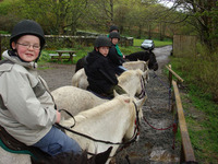 Multi Activity - Mini Railway/Swimming/Pony Trekking photo