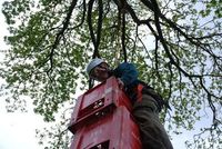 Crate Climbing photo