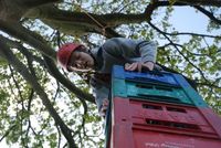 Crate Climbing photo