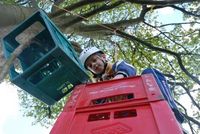 Crate Climbing photo