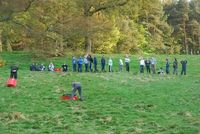 Grass Sledges photo