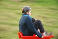 Grass Sledges photo