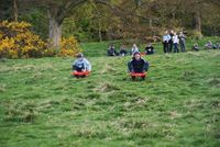 Grass Sledges photo