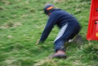Grass Sledges photo
