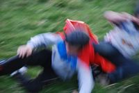 Grass Sledges photo