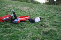 Grass Sledges photo