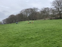 Grass Sledging, Mountain Boards and Land Yachts photo