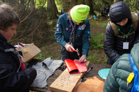 Bushcraft Zone photo