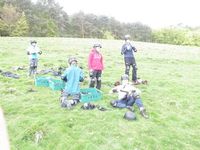 Mountain Boards photo