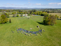 Camp Closure photo