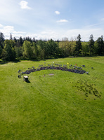 Camp Closure photo