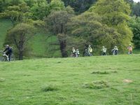 Quad Bikes photo