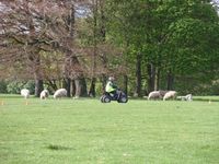 Quad Bikes photo