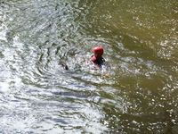 River Rescue photo