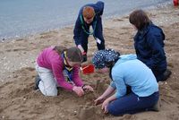 Sand Castle Competition photo