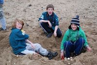 Sand Castle Competition photo