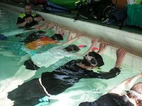 Scuba Diving photo