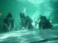 Scuba Diving photo