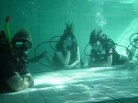Scuba Diving photo
