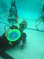 Scuba Diving photo