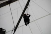 Sky Walk photo