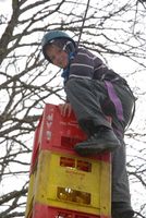 Crate Climbing photo