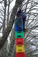 Crate Climbing photo