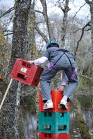 Crate Climbing photo
