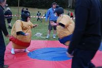 Sumo & Boxing photo