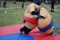 Sumo & Boxing photo