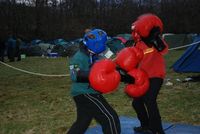 Sumo & Boxing photo