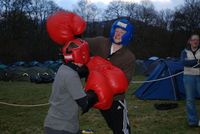 Sumo & Boxing photo