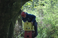 Crate Climbing photo