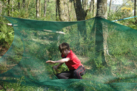 Assault Course photo